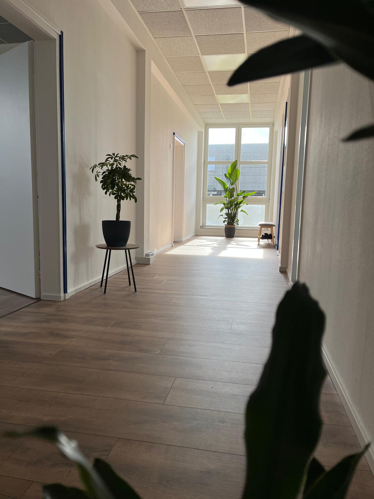 Freier Blick durch den hellen Praxisflur zu den Fenstern