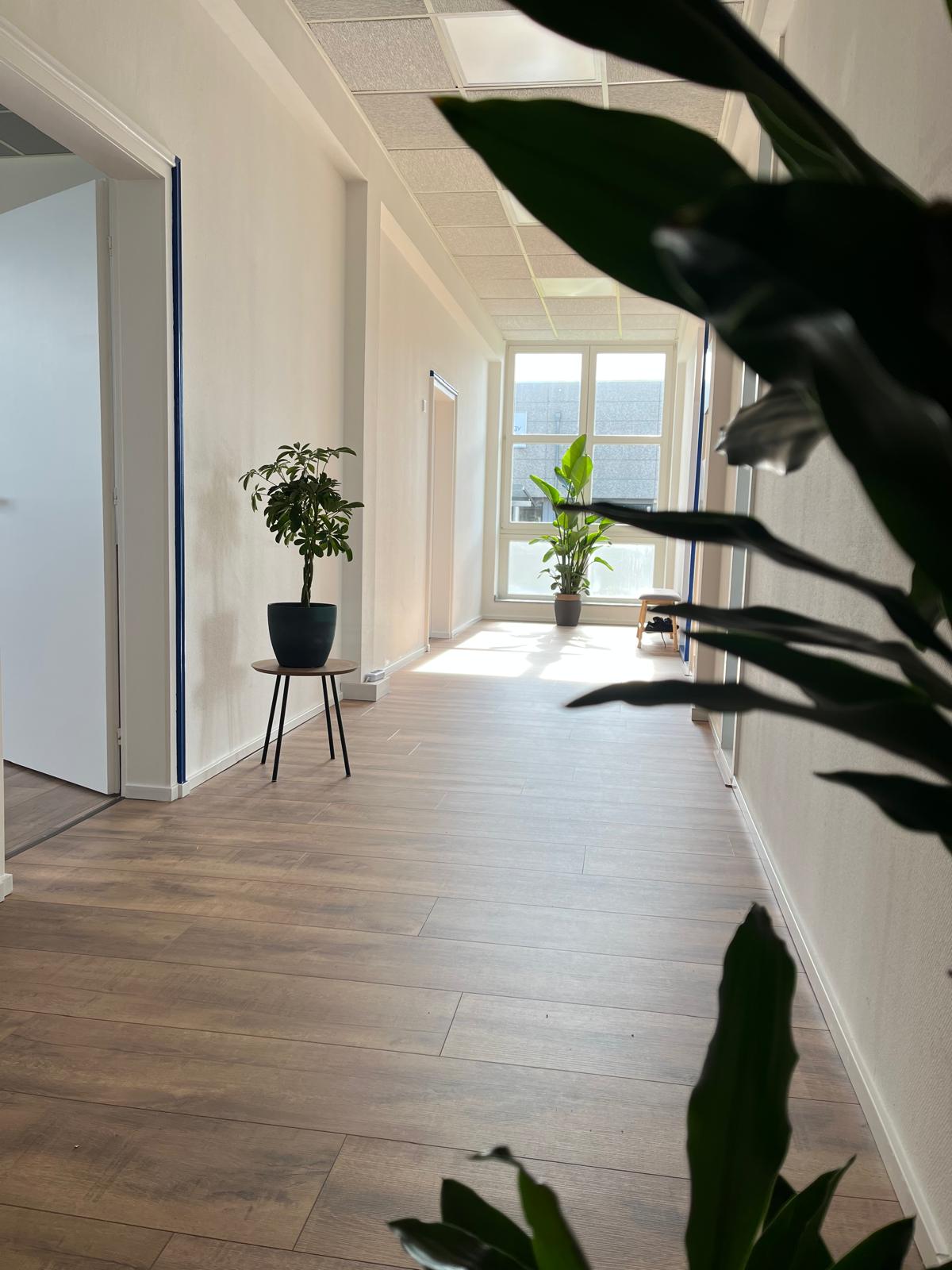 Heller Praxisflur mit Pflanzen und Behandlungsräumen